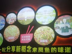 -新概念来凤鱼(璧山店)