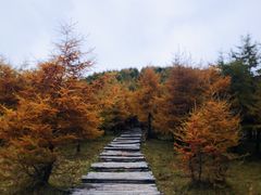 -红崖峡谷景区
