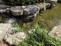 -青岛鑫江温德姆酒店