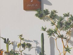 -AHAVA·Fang Baking Studio