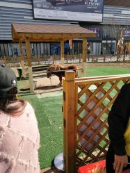 -萌宠亲子动物乐园(槐房万达店)