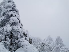 -峨眉山风景名胜区