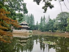 -习家池
