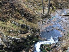 -凤凰山国家森林公园