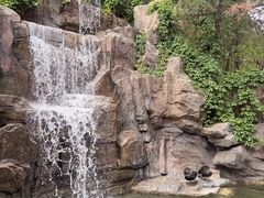 -燕塞湖鸟语林景区