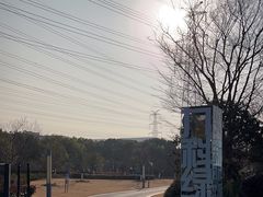 -九科绿洲