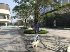 -东莞松山湖万象汇