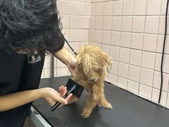 -FAELING PETS美天灵宠物(富力广场店)