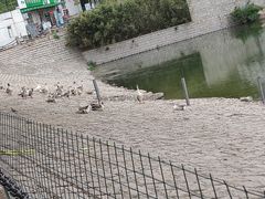-青岛大学(金家岭校区)