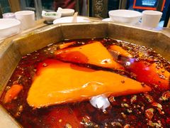 -蜀九香火锅(彩虹店)