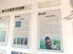 -盐城丹顶鹤湿地生态旅游区