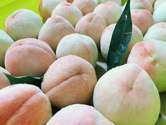 -老袁家蜜桃农场·阳山水蜜桃