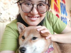 -柴犬高等学院·狗咖·柴犬售卖·宠物训练