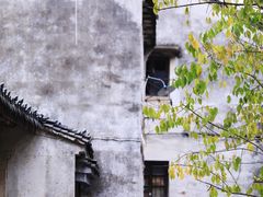 -丝绸小镇荻港古村