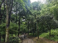 -仙霞关景区