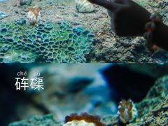 -沈阳海洋探索中心