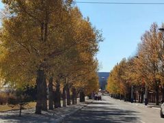 -北极村旅游风景区