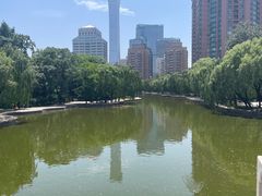 -团结湖公园