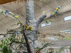 -南宫五洲植物乐园