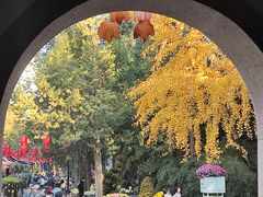 -惠山古镇·寄畅园