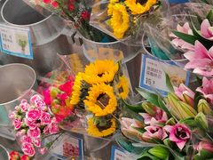 -盒马鲜生(莱蒙都会店)
