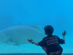 -海棠湾洲际-涛·海底餐厅·美人鱼·自助餐·海底隧道