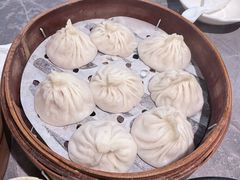 -莱莱小笼·乔艾