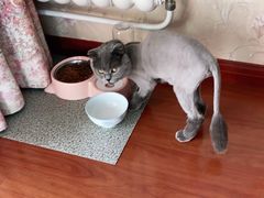 -沐沐家宠物(成寿寺店)