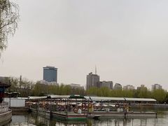-莲花池公园