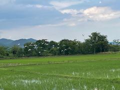 -良渚古城遗址公园