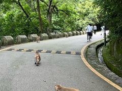 -黔灵山公园