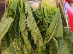 -金鼎雪山牦牛杂火锅(理县总店)