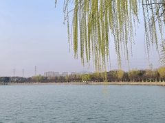 -羊山湖公园
