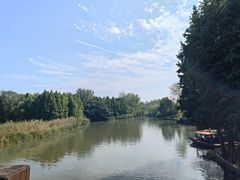 -溱湖国家湿地公园