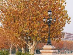 -上海交通大学(闵行校区)