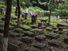 -镇江市南山风景名胜区竹林景区