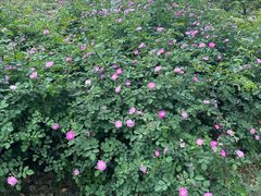 -白塘生态植物园