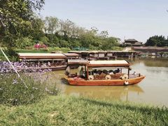 -江门古劳水乡旅游区