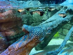 -沈阳海洋探索中心