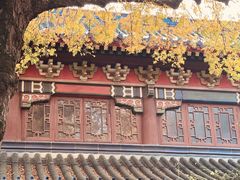 -灵谷景区