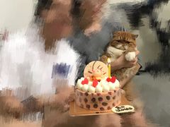 桃之夭夭·招郎蛋糕-黑池口感烘焙·生日蛋糕(坂田店)