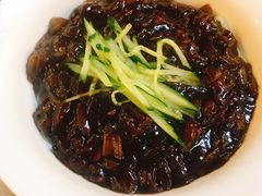 炸酱面-桃园中华料理炸酱面(燕儿岛路店)
