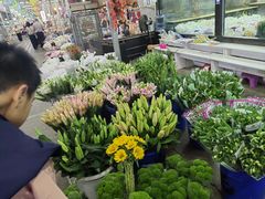 -三圣花乡旅游区