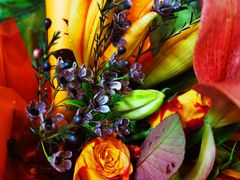 -Butchart布查德鲜花(花艺设计中心)