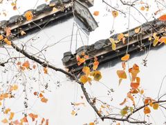 -老门东历史文化街区