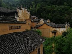 -杨家堂村