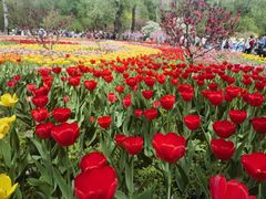 -国家植物园南园