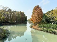 -贡湖湾湿地公园
