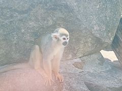 -上方山森林动物世界