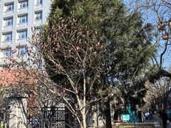 -首都医科大学附属北京友谊医院(西城院区)